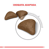 Royal Canin Hairball 1 5Kg