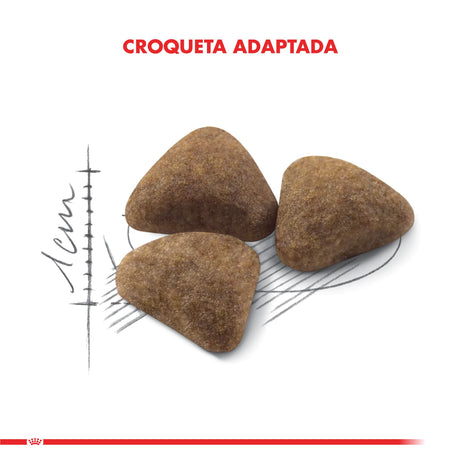 Royal Canin Indoor 1 5Kg