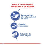 Royal Canin Indoor 1 5Kg