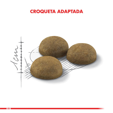 Royal Canin Indoor Long Hair 2Kg