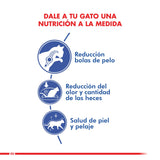  Royal Canin Indoor Long Hair 2Kg