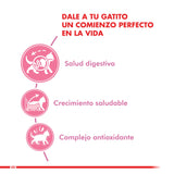  Royal Canin Kitten 1 5Kg
