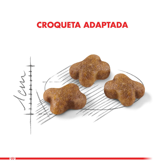  Royal Canin Kitten 1 5Kg