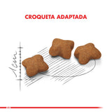  Royal Canin Kitten Sterilised 1 5Kg