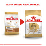  Royal Canin Labrador Retriever Adulto 12Kg