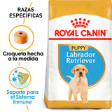 Royal Canin Labrador Retriever Junior 12Kg