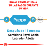 Royal Canin Labrador Retriever Junior 12Kg