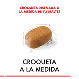  Royal Canin Maltes Adulto 1Kg