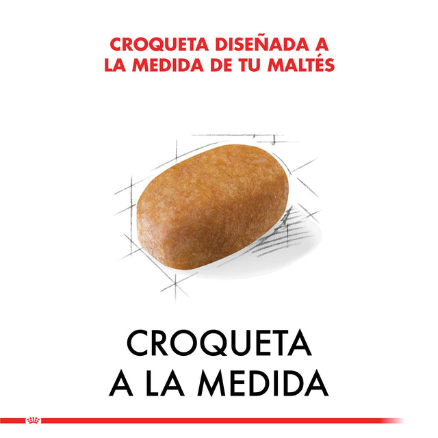  Royal Canin Maltes Adulto 1Kg