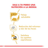  Royal Canin Maltes Adulto 1Kg