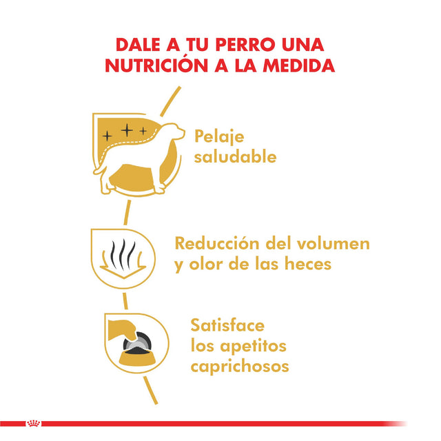  Royal Canin Maltes Adulto 1Kg