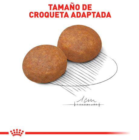 Royal Canin Medium Adulto 15Kg