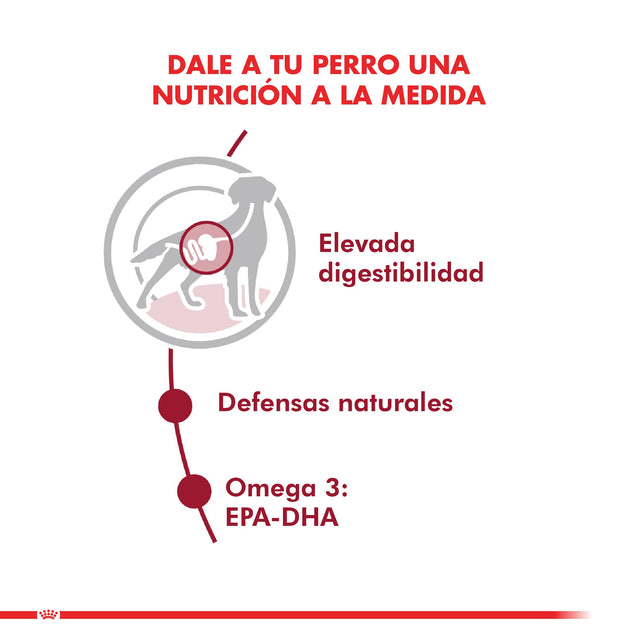  Royal Canin Medium Adulto Pouch 140Gr