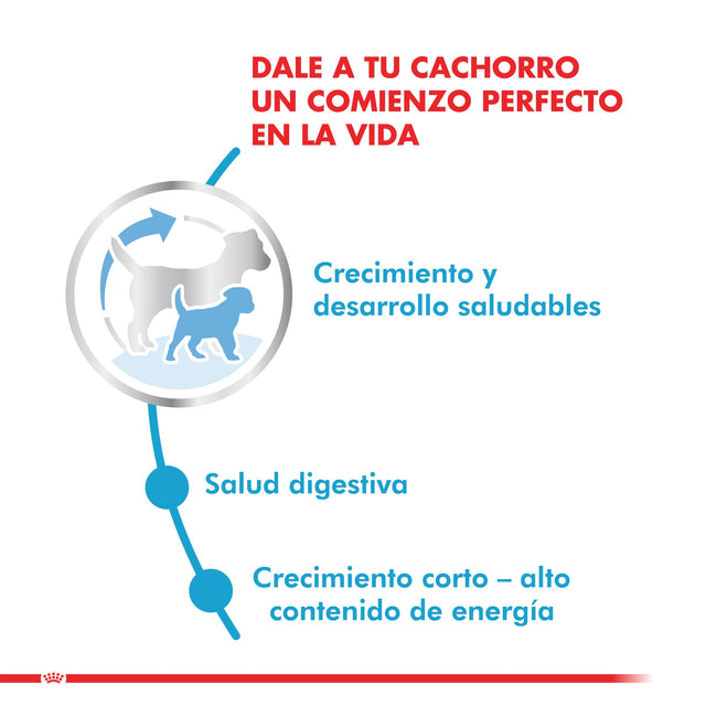  Royal Canin Medium Junior 2 5Kg