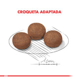  Royal Canin Medium Junior 15Kg