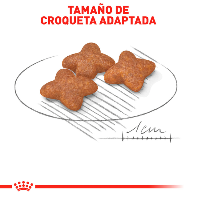  Royal Canin Mini Adulto 2 5Kg