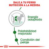 Royal Canin Mini Adulto 7 5Kg