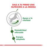  Royal Canin Mini Adulto 8 1Kg