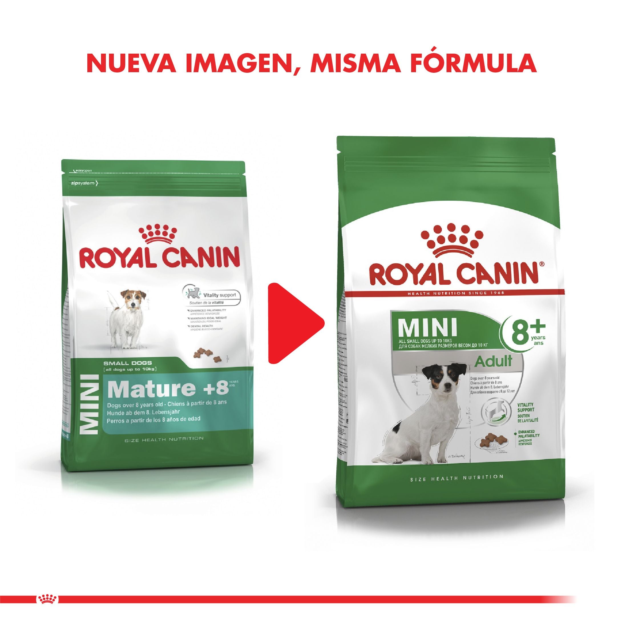 Royal Canin Mini Adulto 8+ 3kg – NovaPet