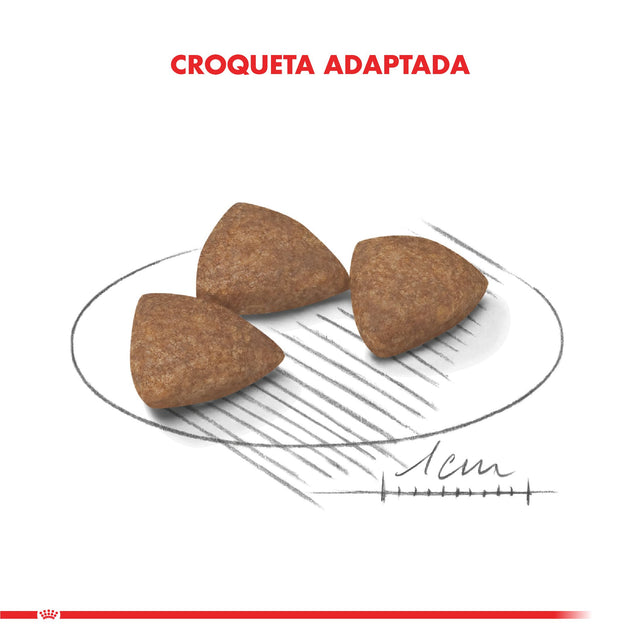  Royal Canin Mini Adulto Indoor 3Kg