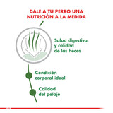  Royal Canin Mini Adulto Indoor 3Kg