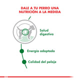  Royal Canin Mini Adulto Pouch 85Gr