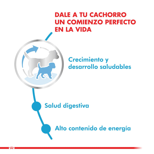  Royal Canin Mini Junior 3Kg