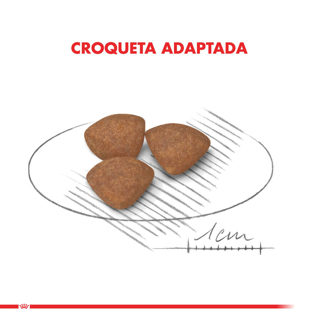  Royal Canin Mini Junior 3Kg