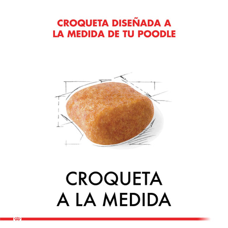 Royal Canin Poodle Adulto 3Kg