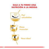  Royal Canin Pug Adulto 2 5Kg