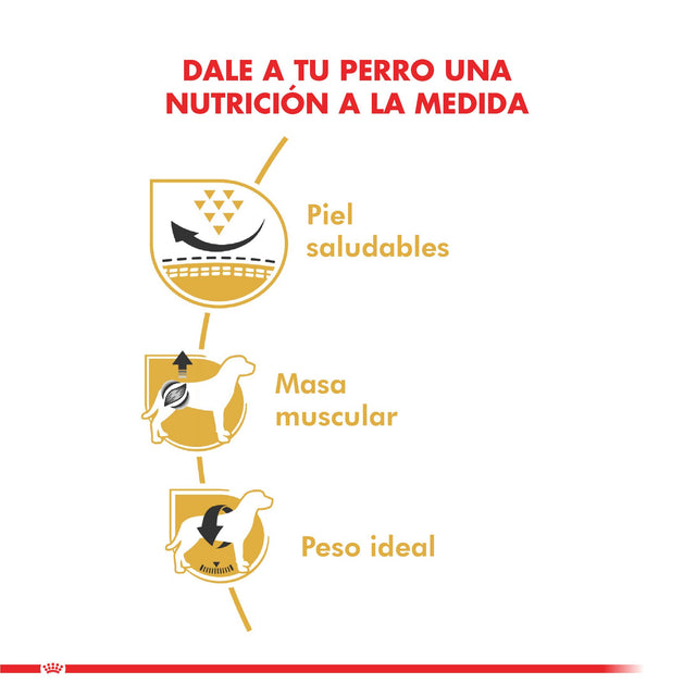  Royal Canin Pug Adulto 2 5Kg