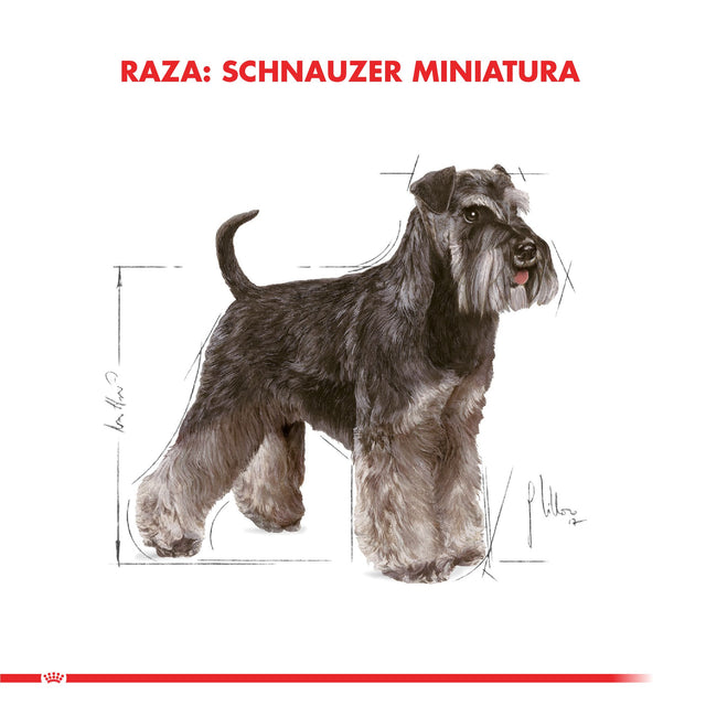  Royal Canin Schnauzer Adulto 3Kg