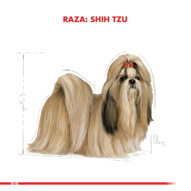  Royal Canin Shih Tzu Adulto 2 5Kg