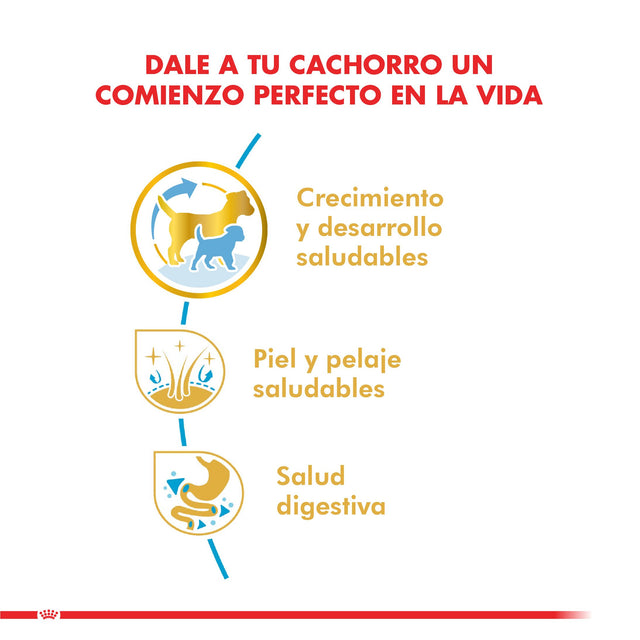  Royal Canin Shih Tzu Junior 2 5Kg