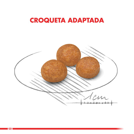 Royal Canin Xsmall Adult 2 5Kg