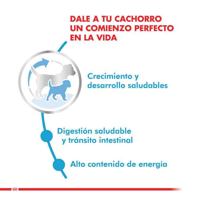  Royal Canin Xsmall Puppy 2 5Kg