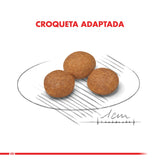  Royal Canin Xsmall Mature 8 1Kg