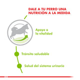  Royal Canin Xsmall Mature 8 1Kg