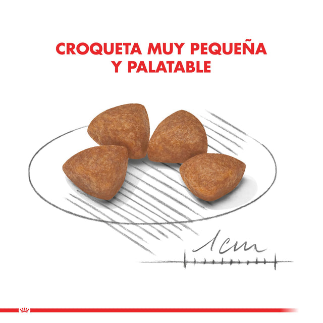  Royal Canin Xsmall Puppy 2 5Kg