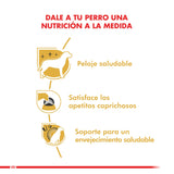  Royal Canin Yorkshire Terrier Adulto 2 5Kg
