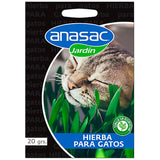 Semillas Hierba Gatera 20Gr