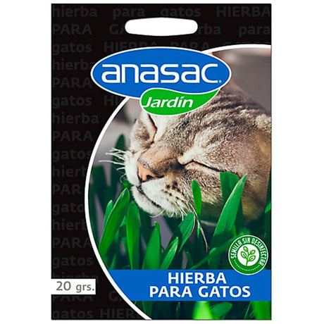 Semillas Hierba Gatera 20Gr