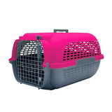 Dog It Voyageur Color Fucsia Y Gris Oscuro Medium
