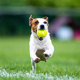 Skipdawg Agility Ball 2Pk