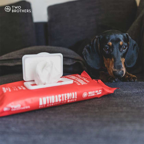 Toallitas Húmedas para Perros Two Brothers Toallitas Antibacterial Aloe Vera Y Avena 40 Unidades