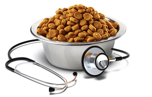 Vet Life Cat Urinary Struvite 2Kg