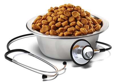 Vet Life Dog Gastro Intestinal 2Kg