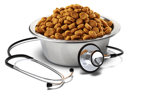  Vet Life Dog Hepatic 10Kg