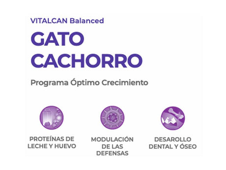 Vitalcan Cat Kitten 2Kg