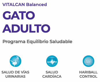 Vitalcan Cat Adulto 2Kg